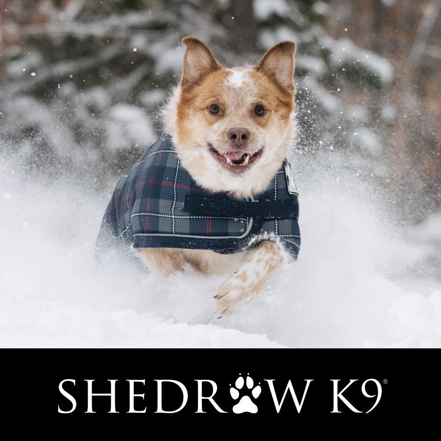 Shedrow K9 Logo and a dog bounding through the snow wearing a plaid coat
